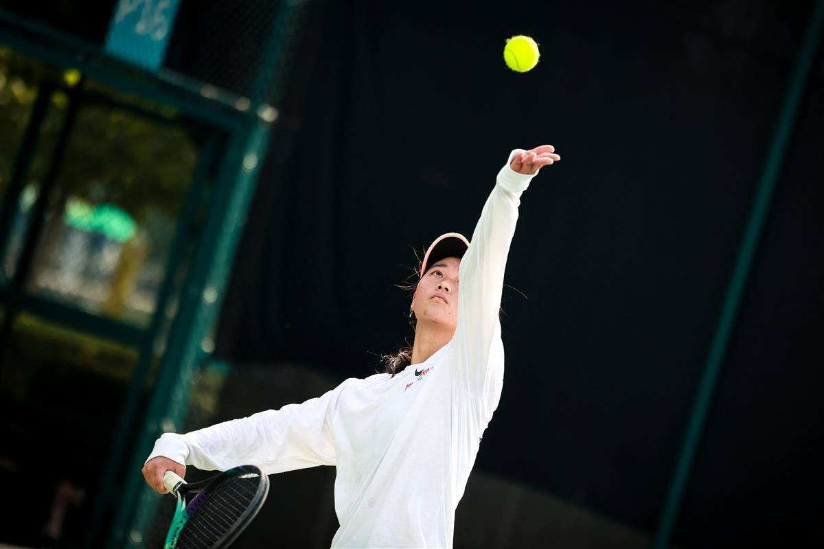 透露出公牛 透露出公牛