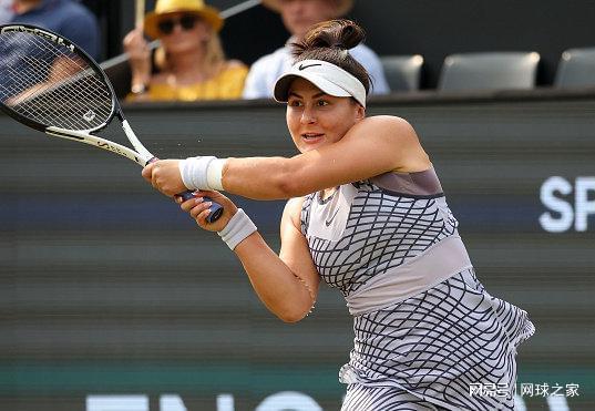 展示活动 展示活动